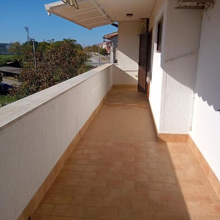 Apartment Degobbis Rovinj Exterior foto